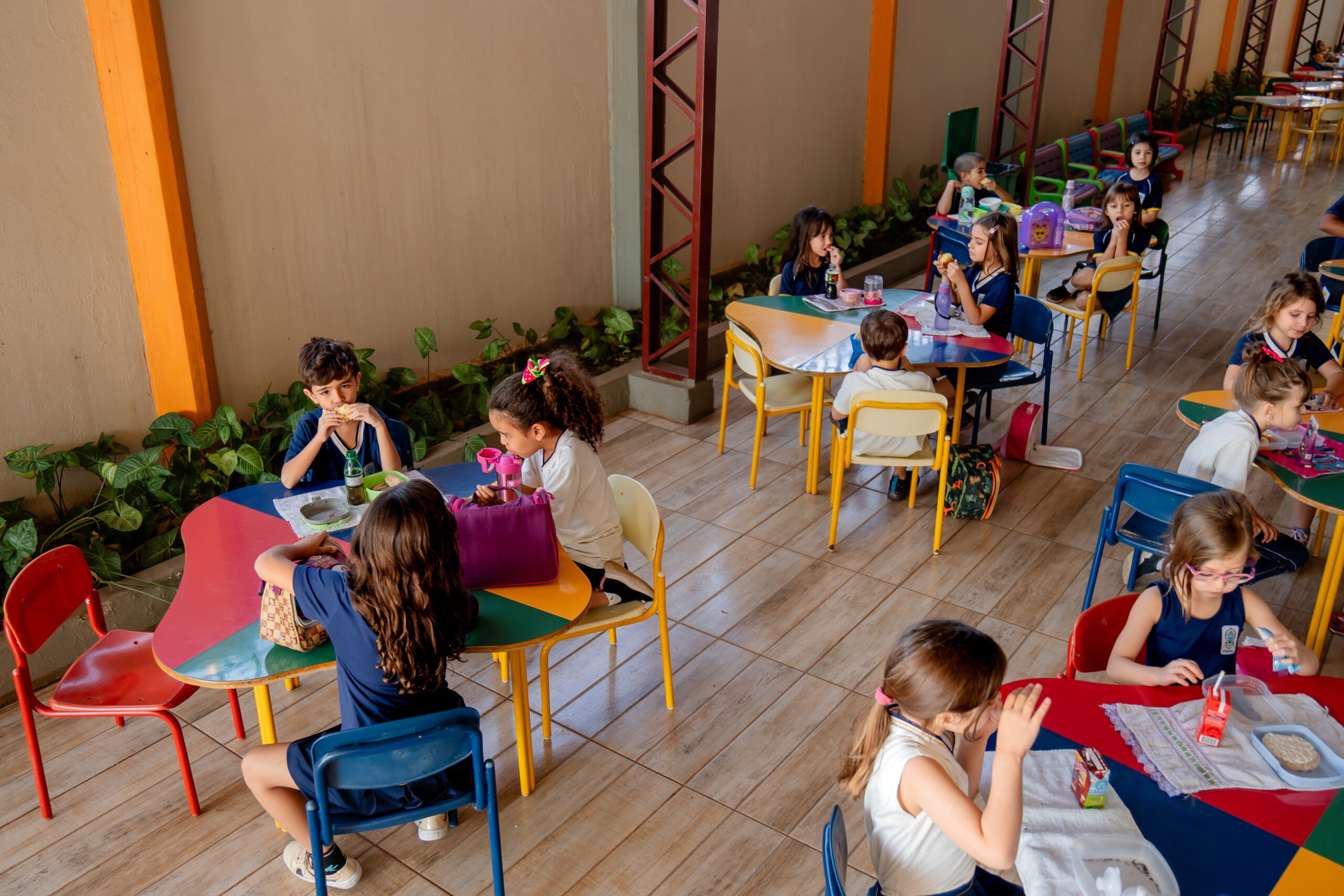 LIV - 1º Ano